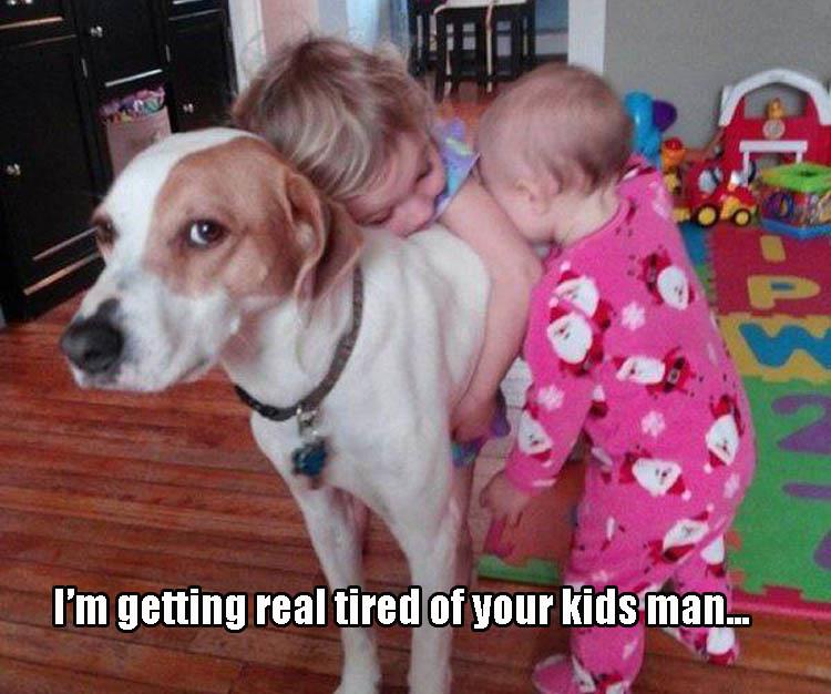 dog with kids